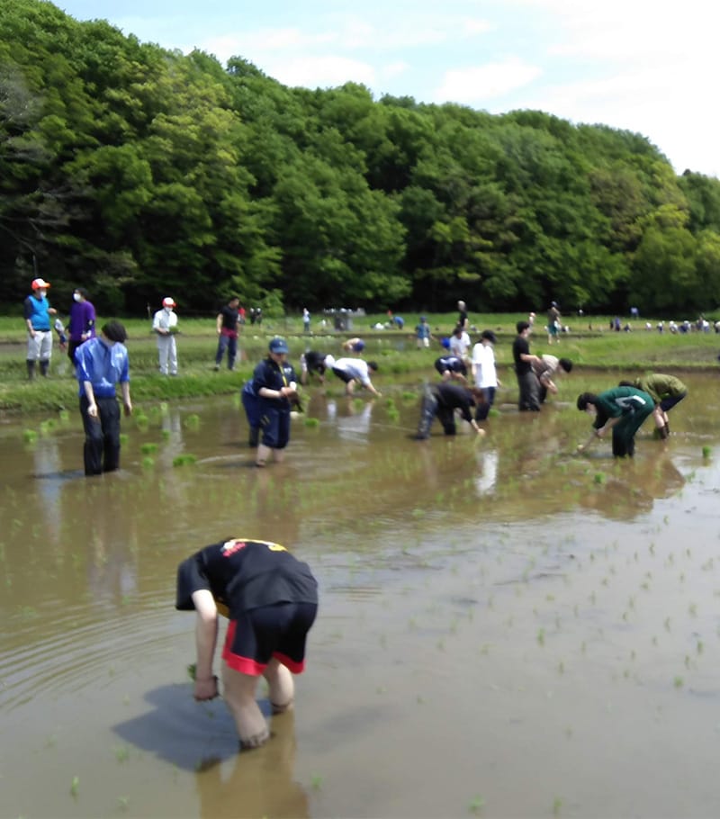 江川地区で環境配慮型農業の実践