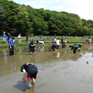 江川地区で環境配慮型農業の実践